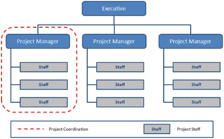projectized pmp managers matrix functions structured