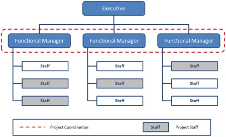 Functional Organizational Structure