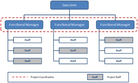 Organizational Chart Structure Types