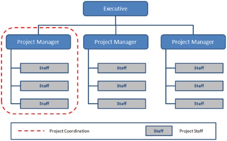 Management Staff Organization Chart