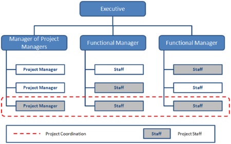 strong matrix organizational structure