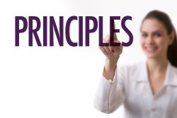 Project Management Principles