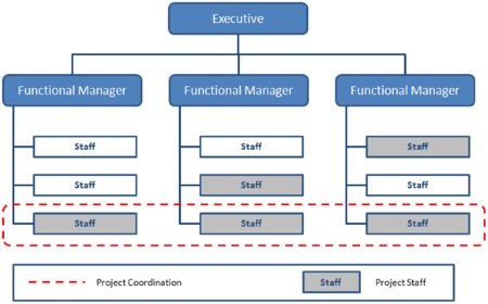 Weak Matrix Organizational Structure